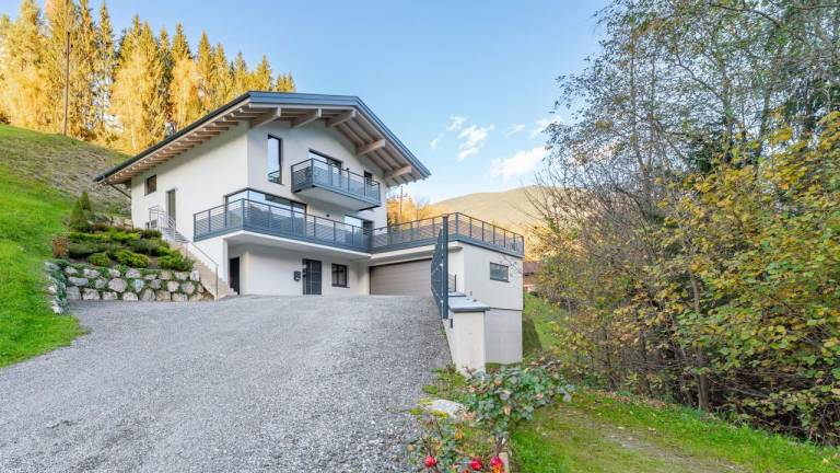 Ferienwohnung  Viehhofen