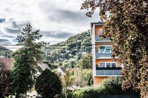 Apartma Thal
