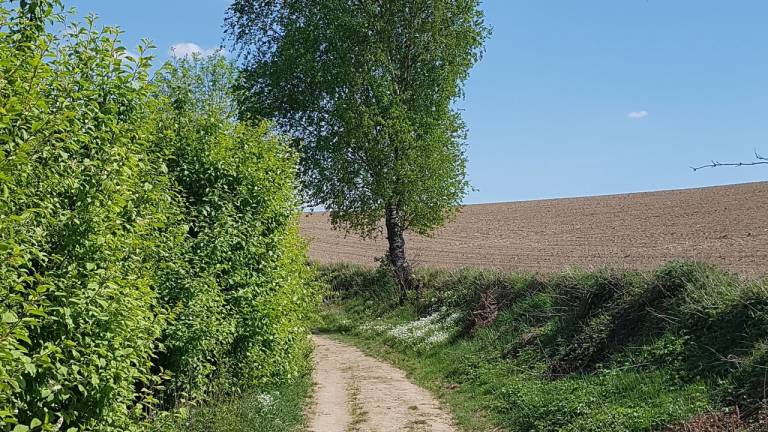 foto17