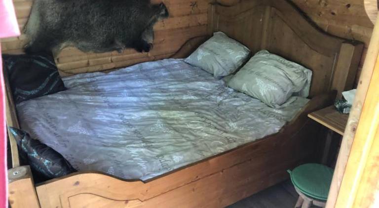 foto11