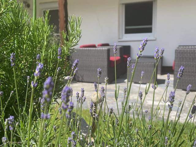 Ferienwohnung Taching am See