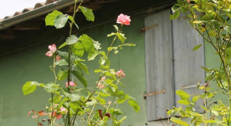foto8