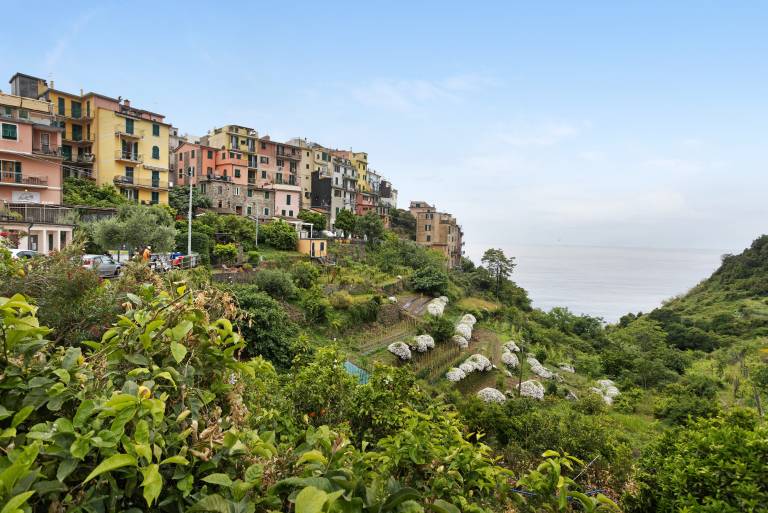 Apartment 'Silvia Nelle 5 Terre' with Private Terrace, Wi-Fi and Air Conditioning — photo 3