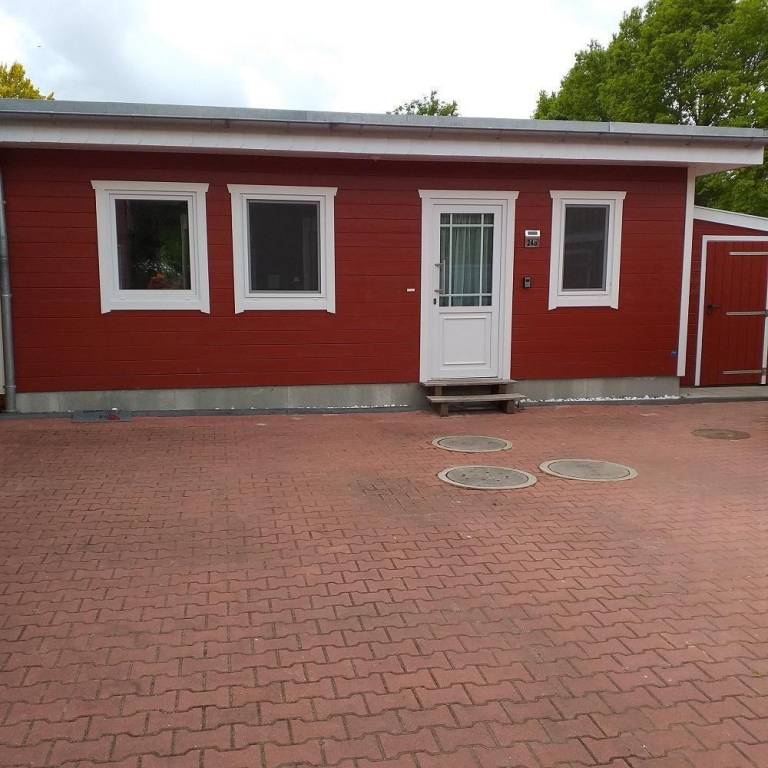 foto1