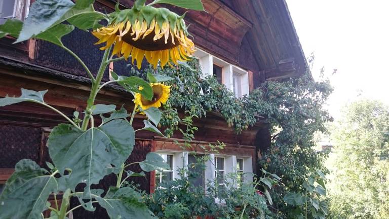 Privatzimmer Brunnadern