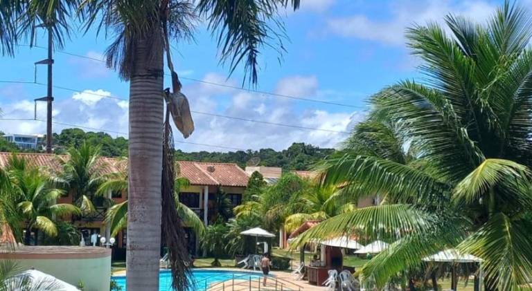 Wonderful house with pool | Pet-friendly in Porto Seguro