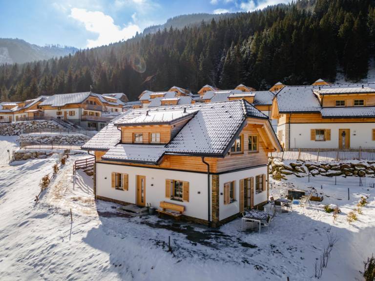 Chalet Donnersbachwald