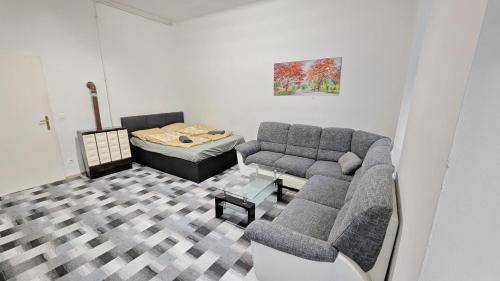 foto11