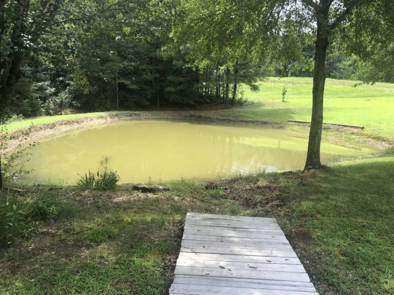Cabin Collinsville