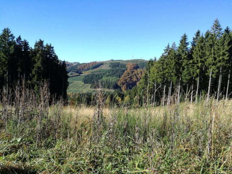 foto19