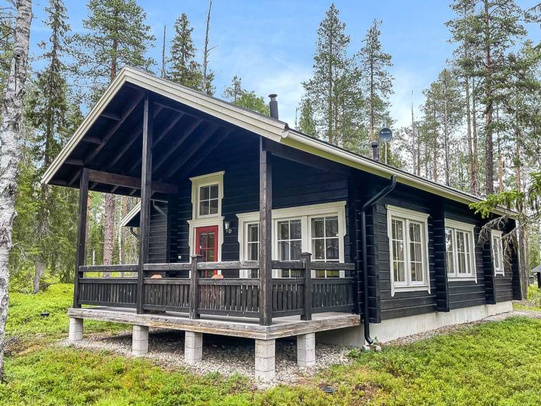 Vacation home with sauna — photo 2