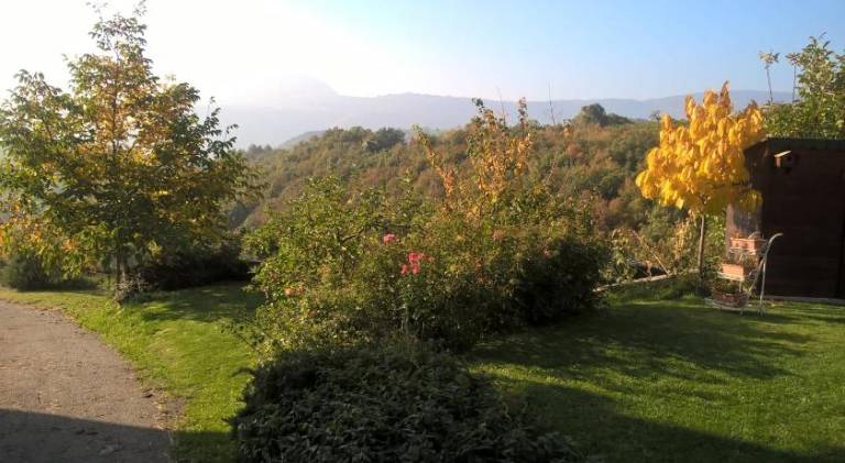 foto14