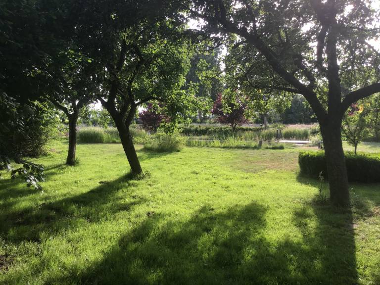 foto29