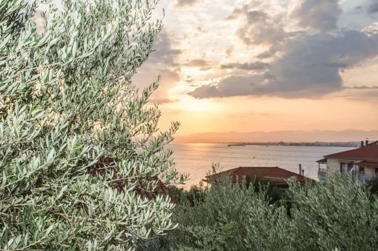 Διαμέρισμα Παραλία Καλαμάτας