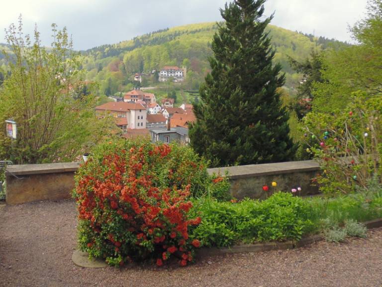 foto19