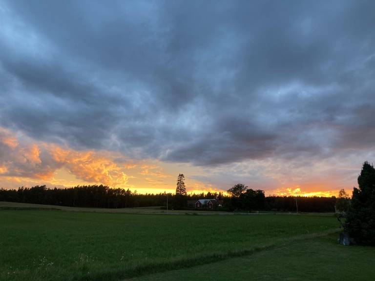 foto42