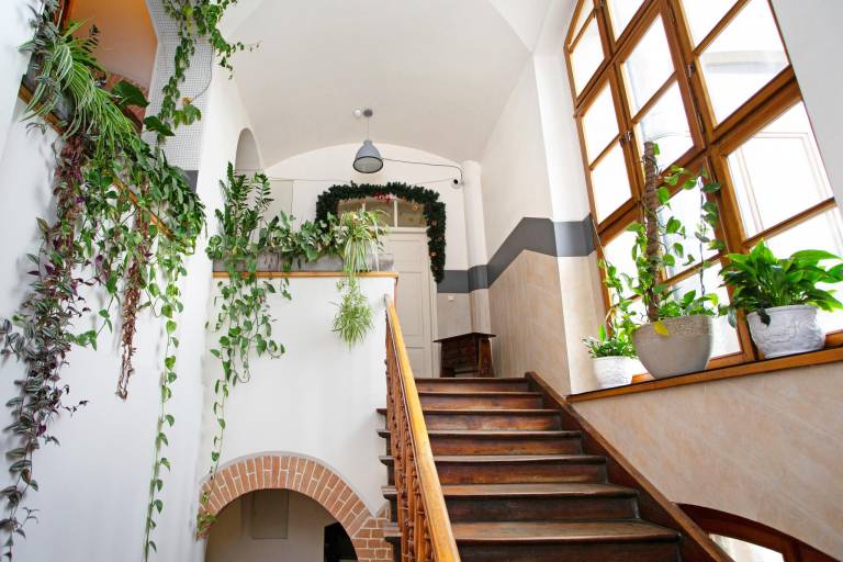 Serviced apartment with terrace | Next to Main Square | Pets allowed — photo 3