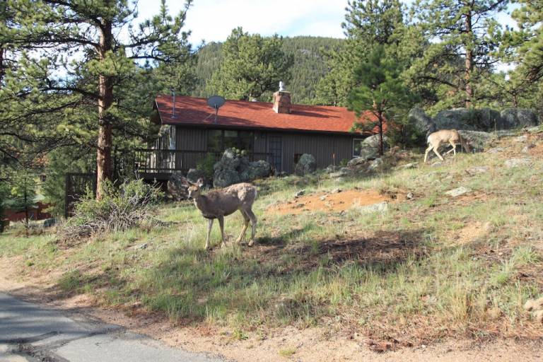 Cabin Estes Park