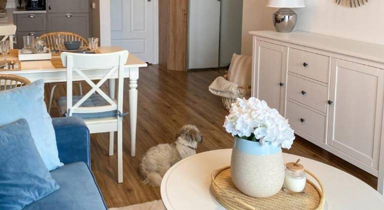 Beautiful rental apartment | Pets are welcome — photo 5