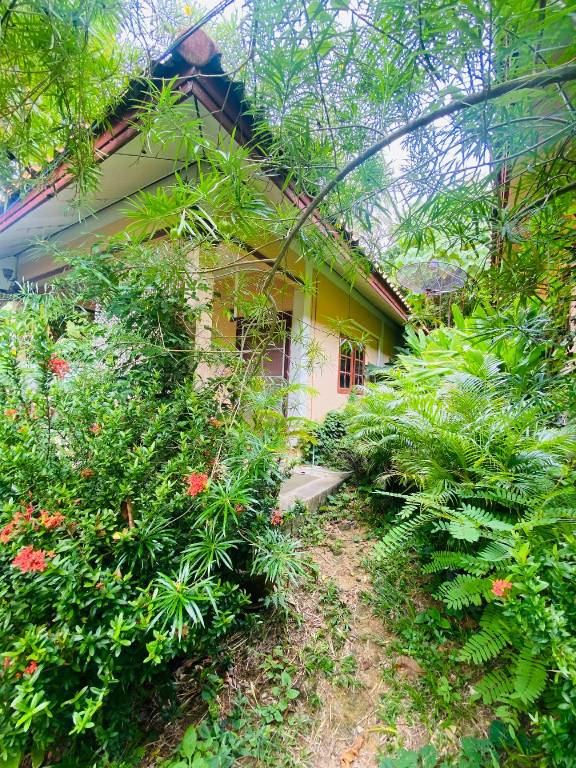 Cosy mandala beachfront bungalow — photo 5