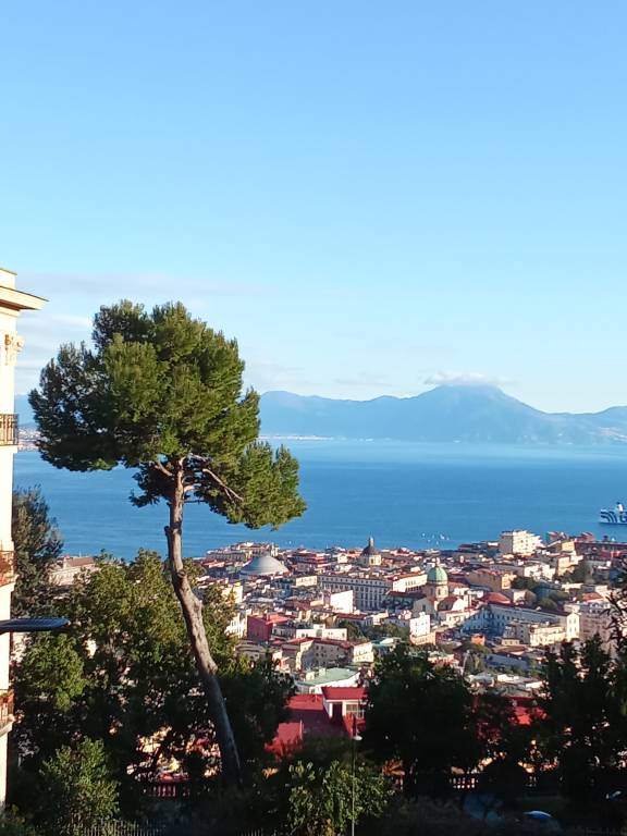foto12