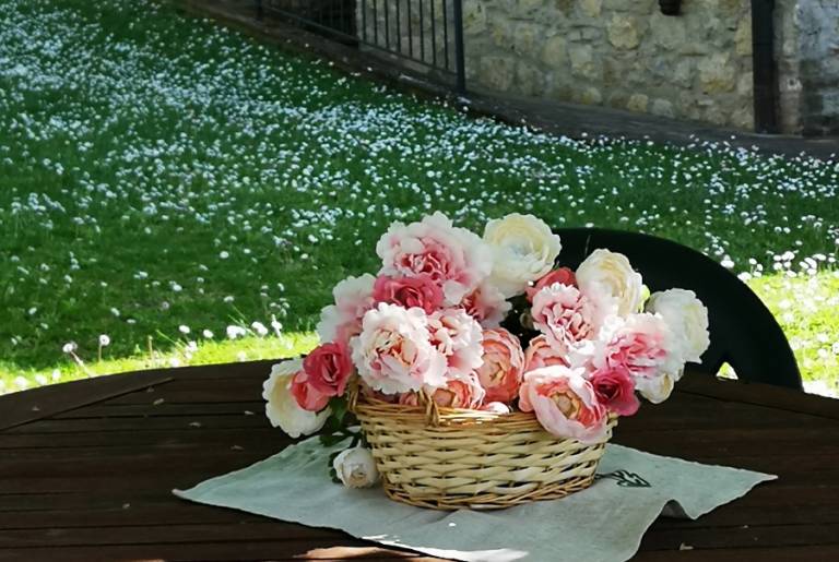 foto42