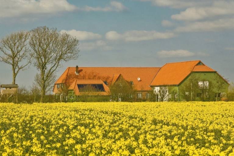 Ferienhaus Nordstrand