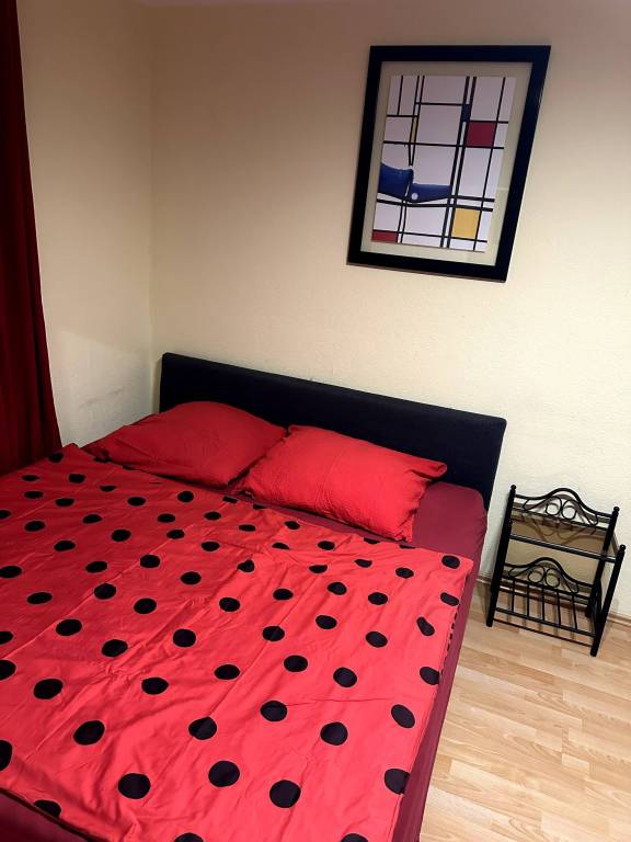 foto5