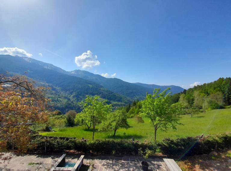 foto5