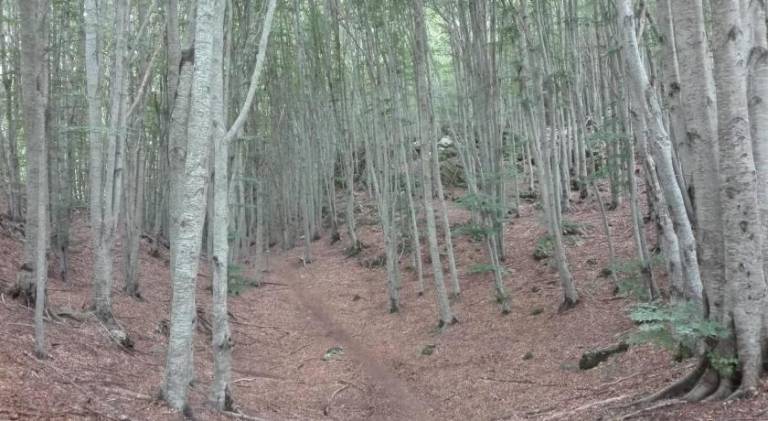 foto38