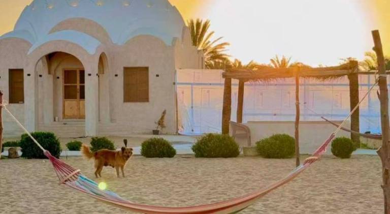 Gazrashek Siwa Hot spring& trips Haven in Siwa