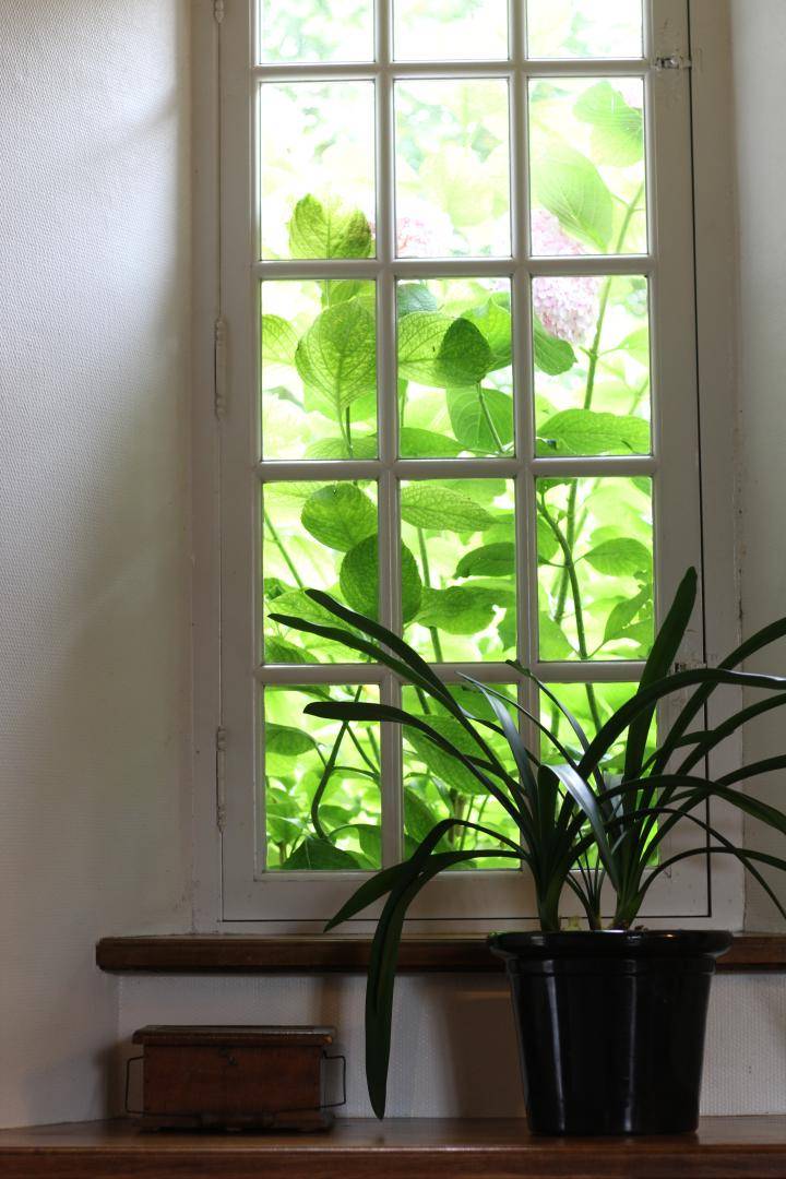 foto16