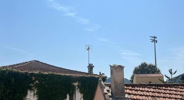 Nice holiday apartment | Pets allowed — photo 4
