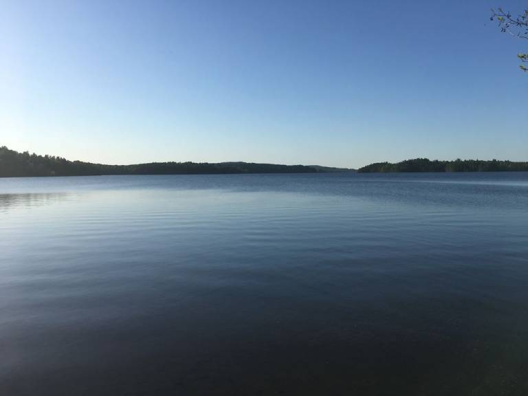 foto11