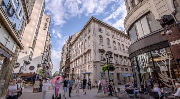 Big rental apartment | Near Buda Castle | Suitable for remote work | Pets allowed — photo 5