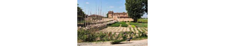 Casa  Cremona