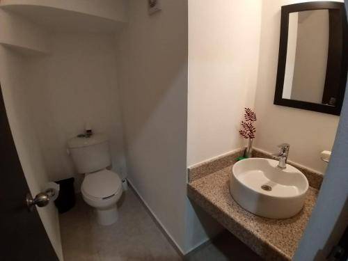 foto14