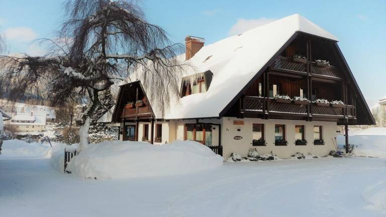 Ferienhaus in Hinterzarten, Schwarzwald, Deutschland