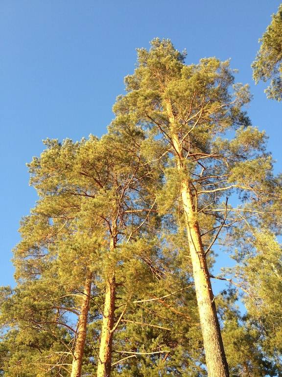 Apartamento Savonlinna