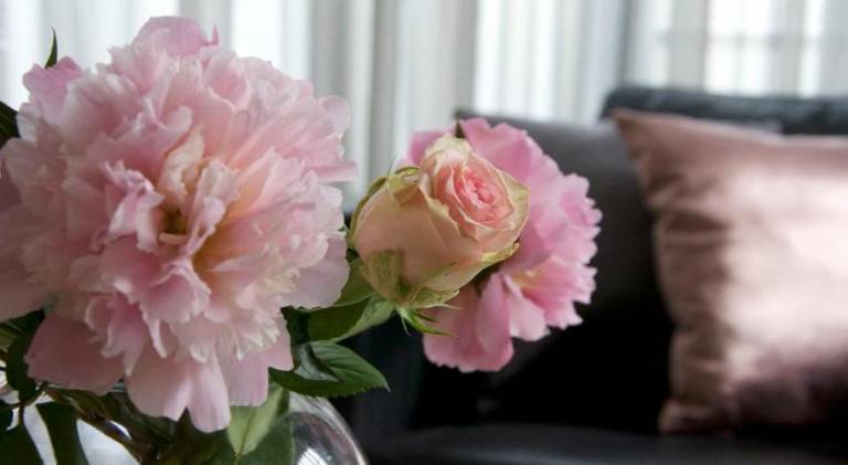 56 m&sup2; Ferienwohnung