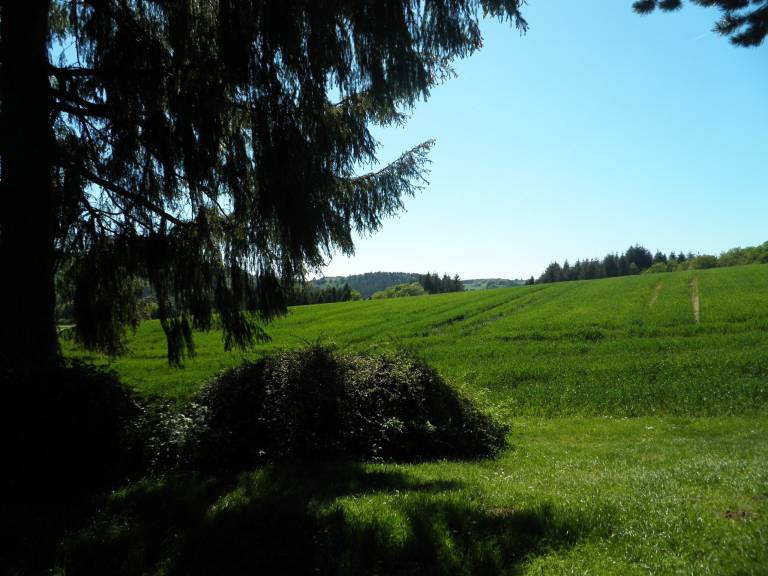 foto15