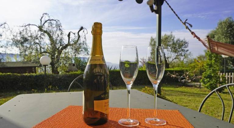 Holiday apartment | Pets are welcome in Toscolano Maderno