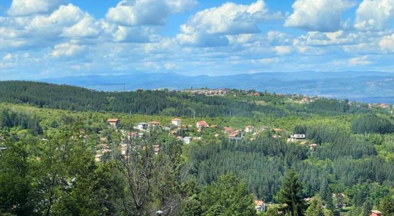 Kъщичка в полите на планина Витоша с коне и животни — photo 5