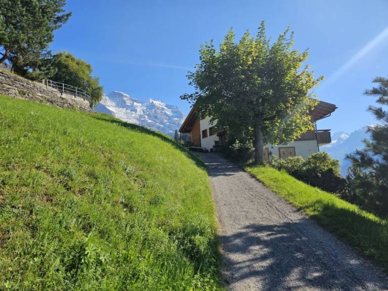 foto19