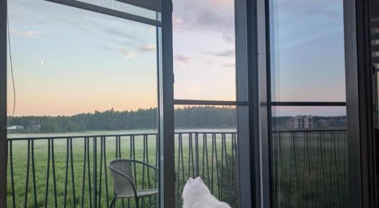 Holiday apartment | Pet-friendly — photo 3