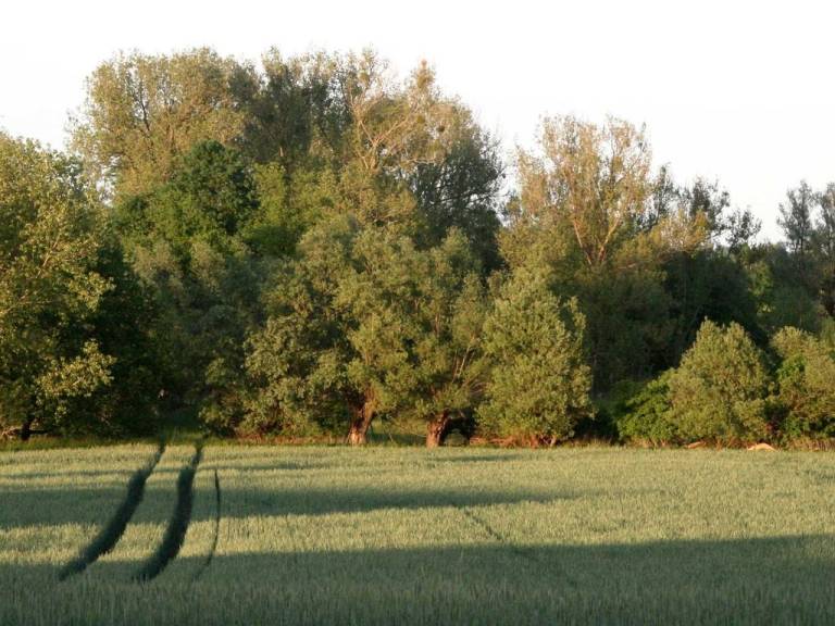 foto23