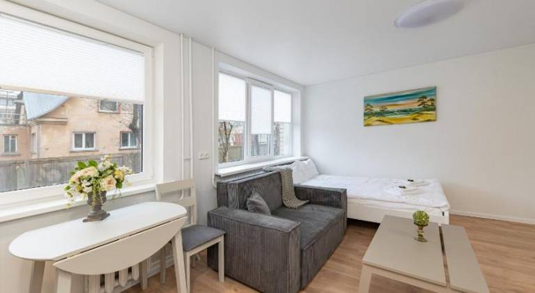 Rental apartment with 1 room for 4 persons in Kaunas