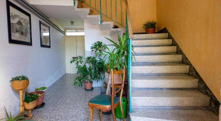 Pleasant holiday apartment | Pets allowed — photo 3