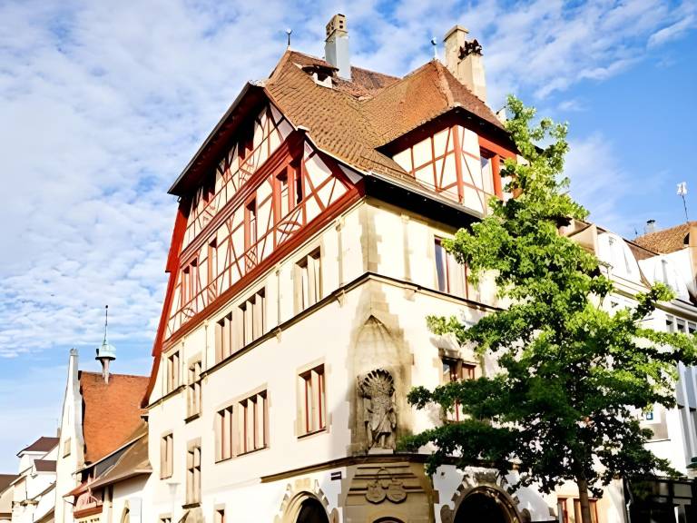Hotel et Spa La Villa K - Basel Airport in Mulhouse