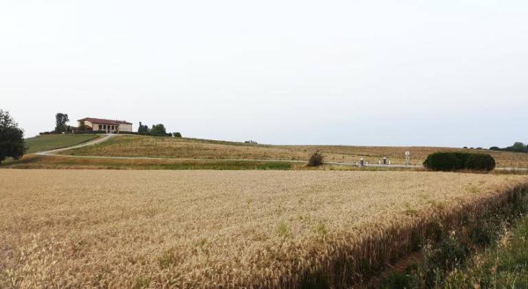 foto41